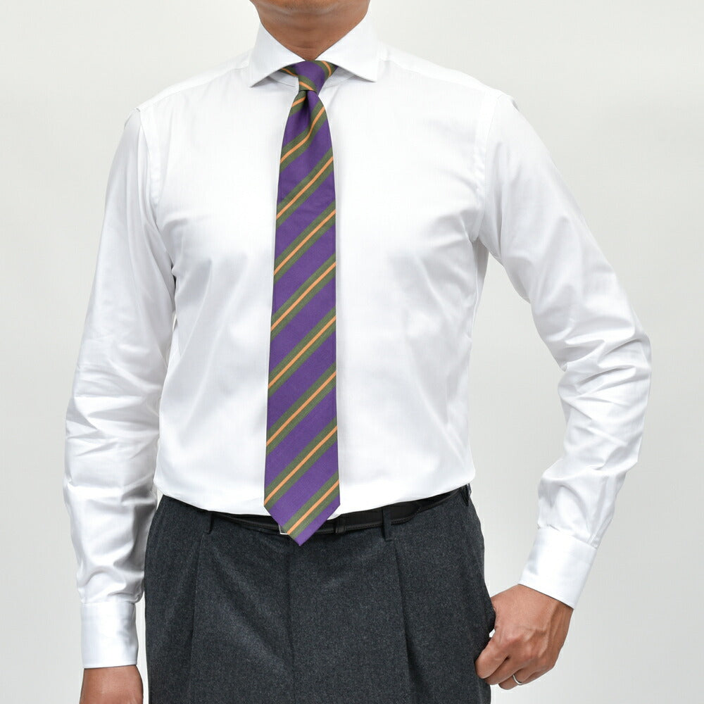 BARBA(バルバ) コットンツイルシャツ / ワイド (406) 11152200052