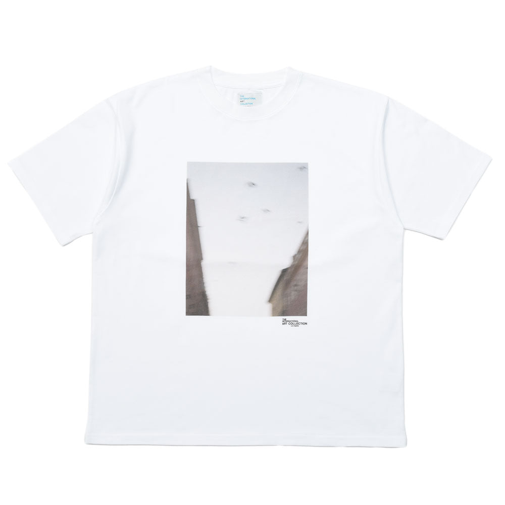 THE INTERNATIONAL ART COLLECTION(ジ インターナショナル アート コレクション) コットンプリントS/Sカットソー SKY002 genderless 12161701182