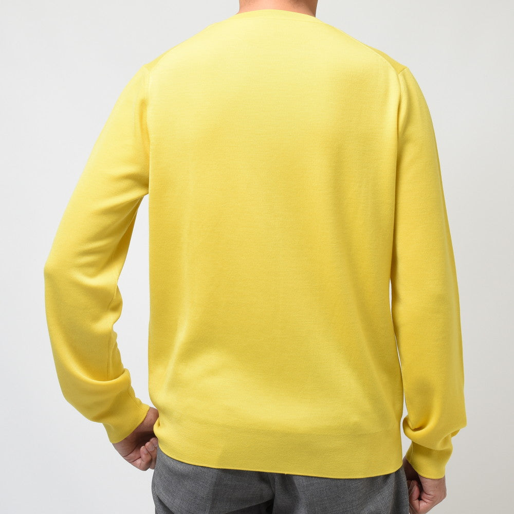 MANRICO CASHMERE(マンリコ カシミア) スーパーカシミアクルーネックニット MS001