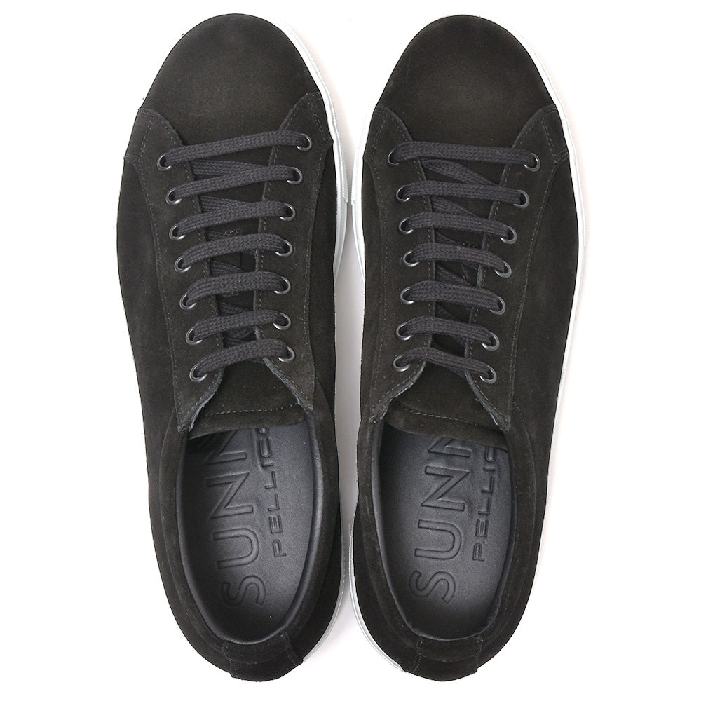 PELLICO SUNNY(ペリーコ サニー) カーフスエードレースアップスニーカー M003/Gioia/SUEDE