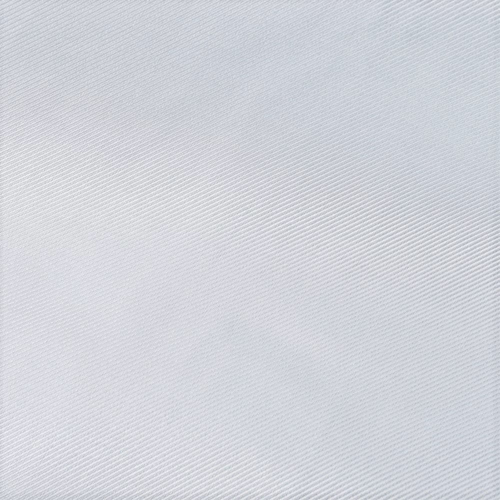 FRAY(フライ) ROBERTOロベルト コットンツイルワンピースカラーシャツ 1181