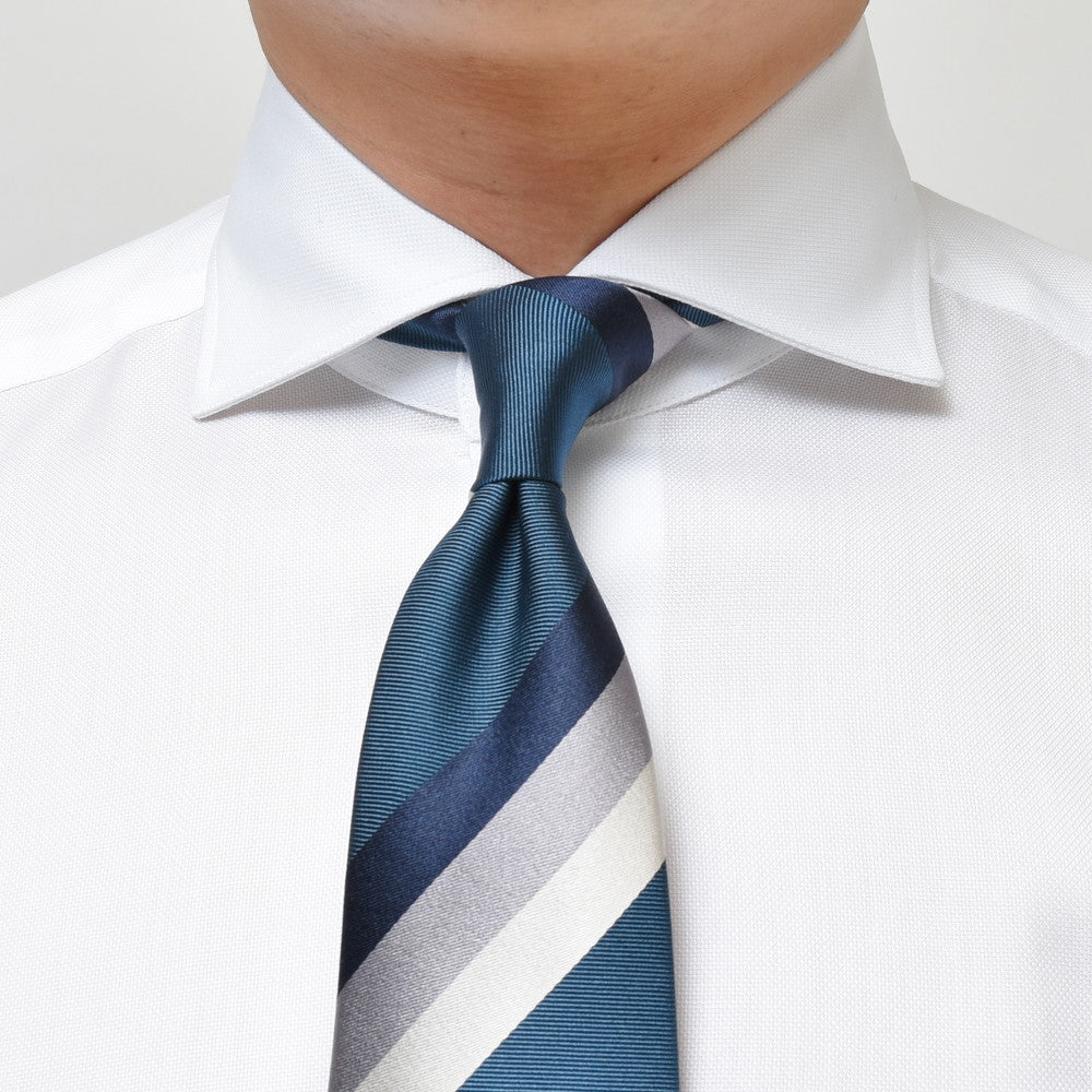 BARBA(バルバ) 406 コットンロイヤルオックスソリッドワイドカラーシャツ 487-81450