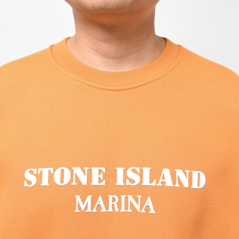 STONE ISLAND(ストーンアイランド) MARINA コットンロゴクルーネックオーバーサイズスウェット 7915671X6