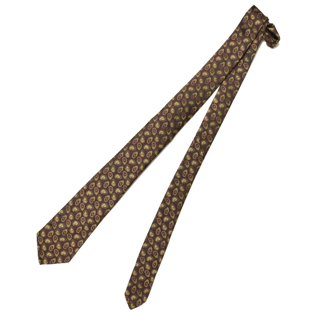 TIE YOUR TIE(タイ ユア タイ) シルクジャガードペイズリーセッテピエゲタイ 99158