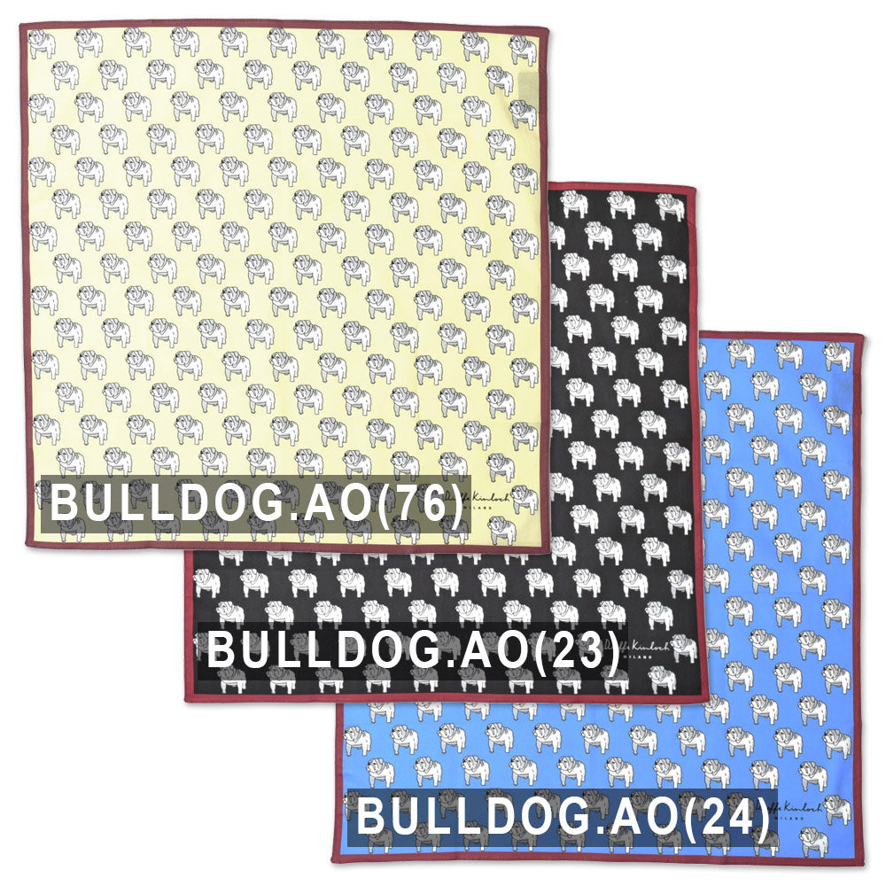 Dieffe Kinloch(ディエッフェ キンロック) コットンプリントハンカチーフ Etichetta Giapponese 18642200115
