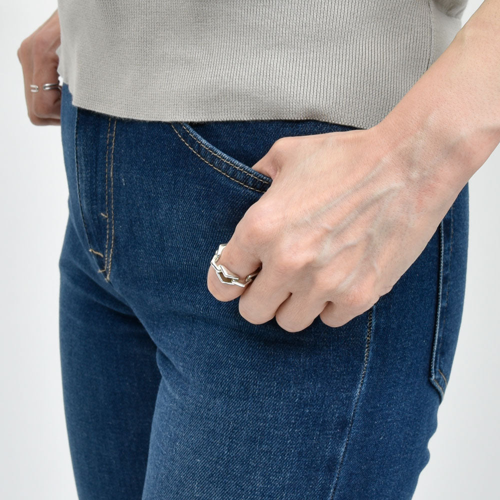 PT TORINO DENIM(ピーティ トリノ デニム) ALANIS/SH0250 スリムボーイフレンド デニムパンツ