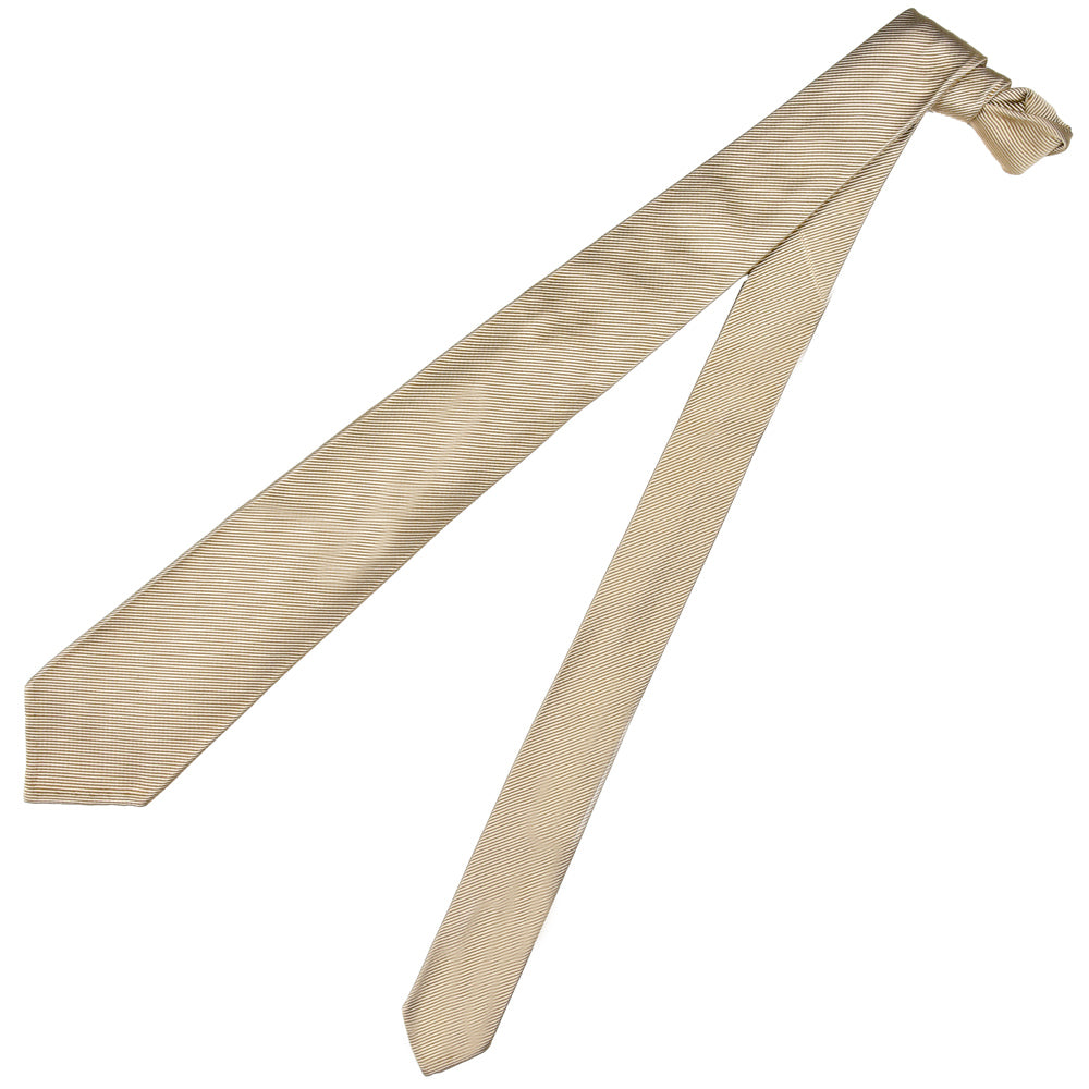 TIE YOUR TIE(タイ ユア タイ) シルクコットンレップタイ / セッテピエゲ 18255211179