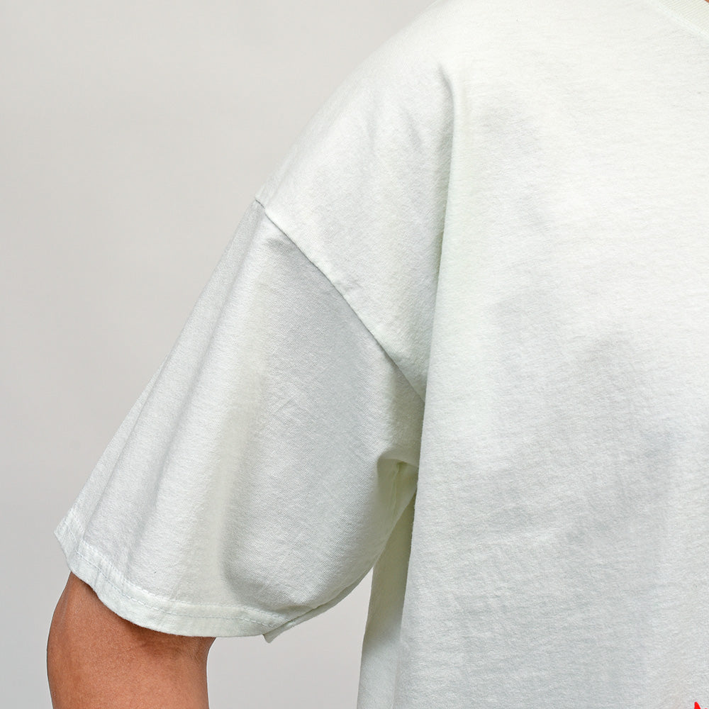 WILD DONKEY(ワイルド ドンキー) PISA TSHIRT コットン クルーネック プリントTシャツ