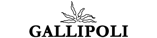 SPECIAL STORE by B.R.ONLINE/TOP