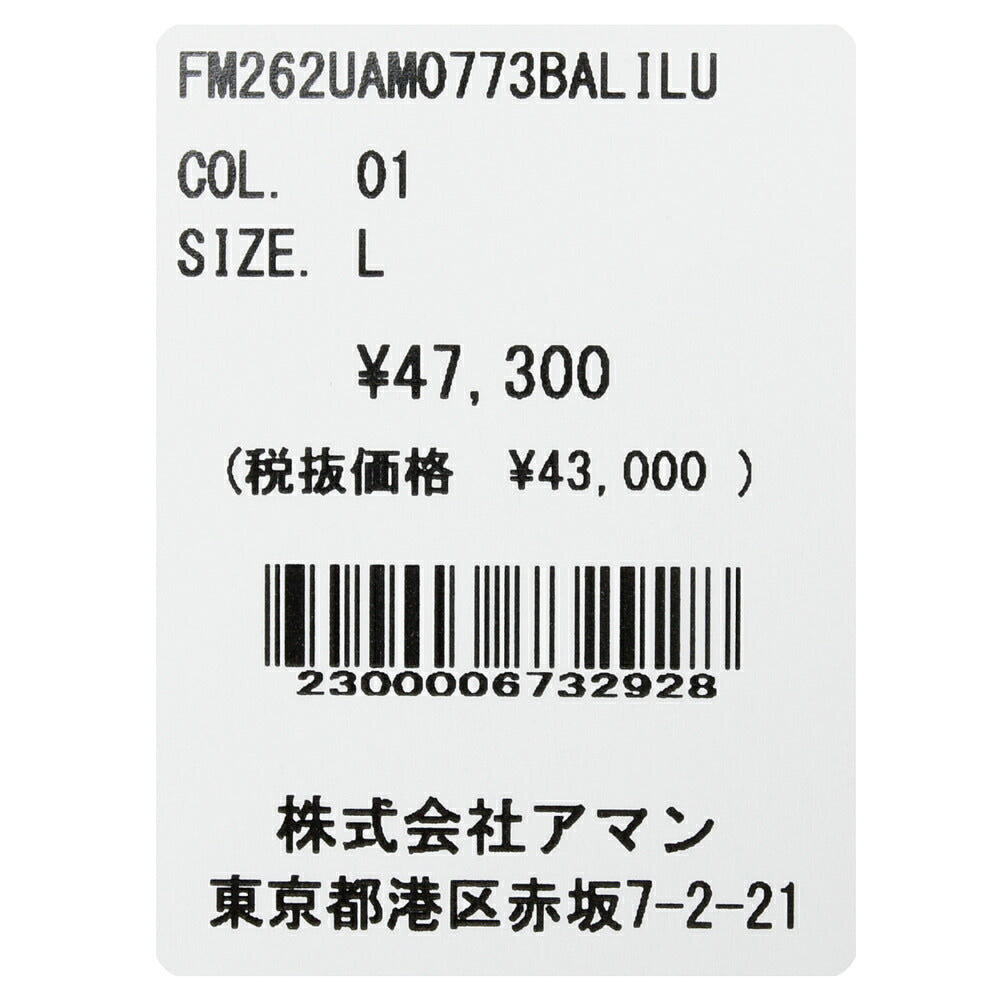 Finamore（フィナモレ）LUIGIルイジ/BALIバーリ コットンライトネルオンブレーチェックワイドカラーシャツ 11062020039
