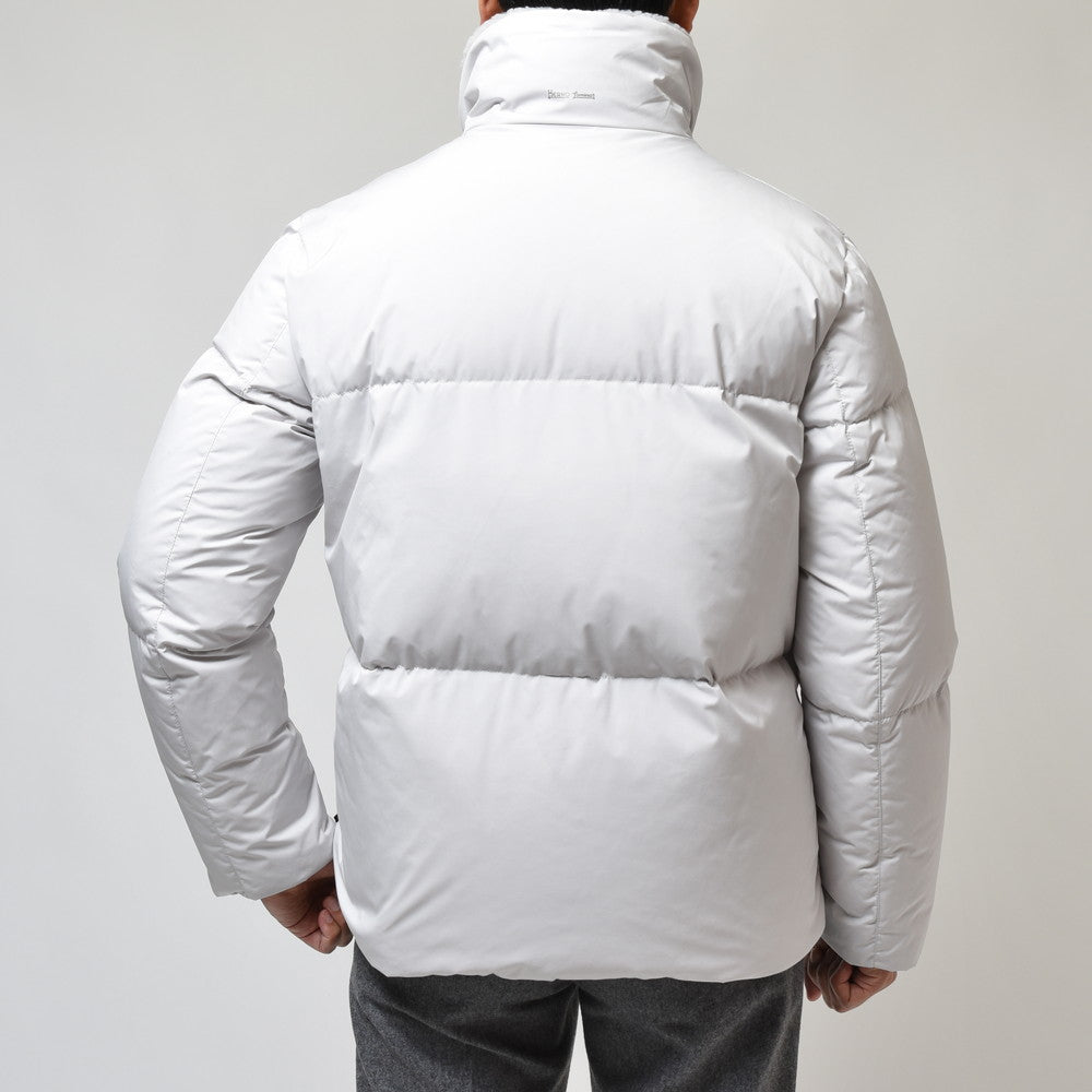 HERNO（ヘルノ） Laminarラミナー 2レイヤーゴアテックスダウンブルゾン PI00322UL-11106+12810