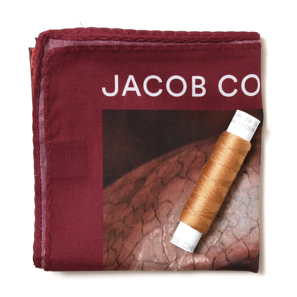 JACOB COHEN（ヤコブコーエン） BARDバード PREMIUM EDITION GRAND TOUR ヴィンテージウォッシュストレッチテーパードフィットデニム 226-82781