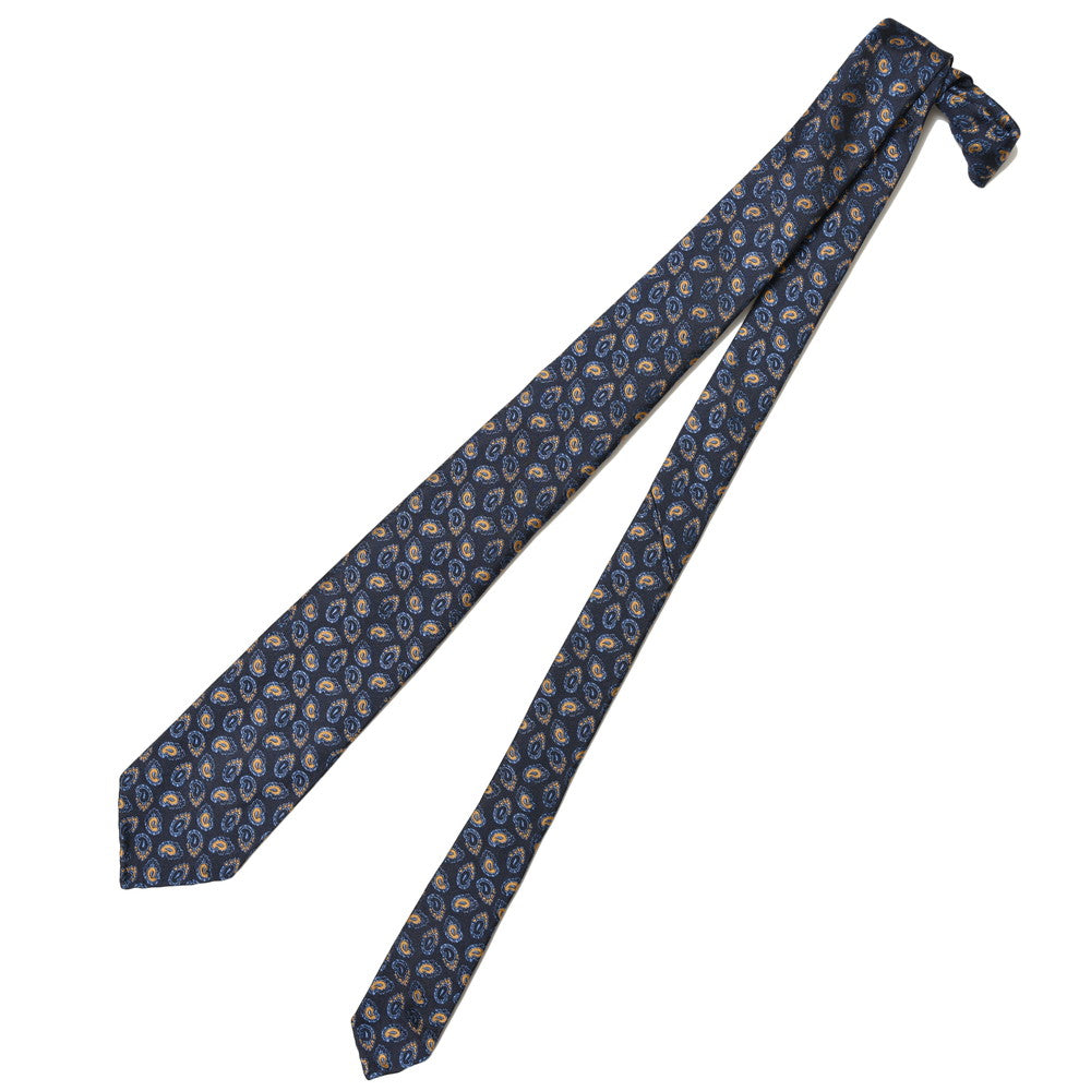 TIE YOUR TIE（タイ ユア タイ） シルクジャガードペイズリーセッテピエゲタイ 99158