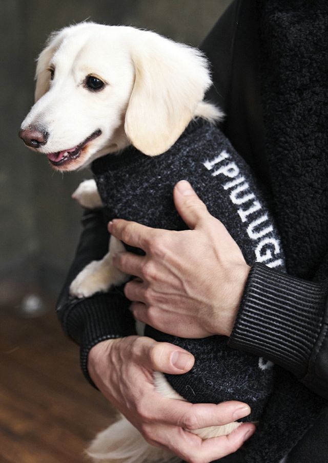 ウノピゥウノウグァーレトレ / DOGGY KNIT/DGK001-WOL170