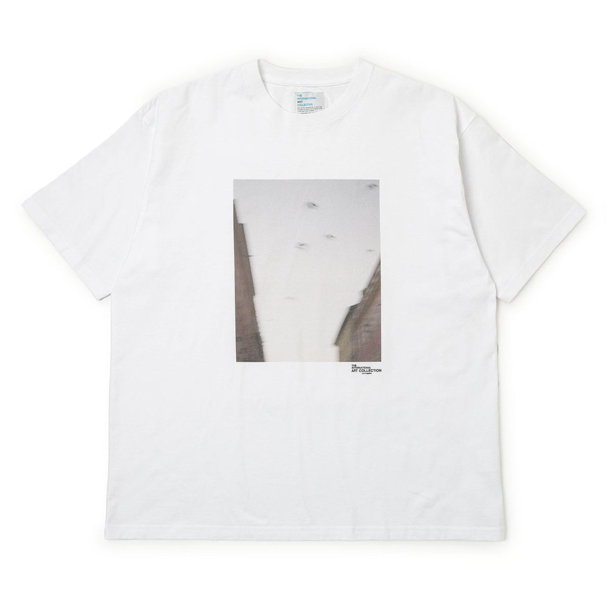 インターナショナルアート コレクション /  クルーネック コットン フォトTシャツ  / TIAC261-002 / ホワイト